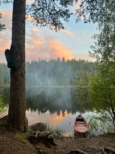 a small boat sitting on top of a lake next to a tree