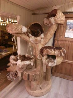 the cat tree is made out of wood and has several cats in it's holes