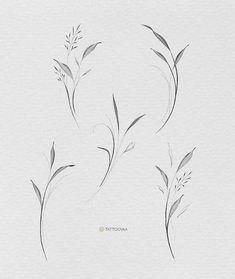 three drawings of flowers on a white paper