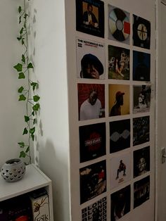 there is a wall with many pictures on it and a plant next to the door