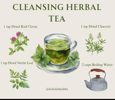 Witchy Recipes, Tea For Health, Medicinal Herbs Remedies, Herbal Education, Milk Tea Recipes, Tea Drink Recipes, Witchy Tips, Healing Tea, Witch Core