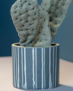 a cactus in a blue and white striped pot