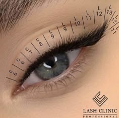 Eye Lash Design, Eyelash Extensions Salons, Eyelash Tips, Cat Eye Lash, Lash Extensions Styles, Doll Eye Makeup