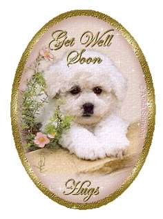 a white dog sitting on top of a table next to a flower pot with the words, get well soon