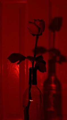 a single rose in a glass bottle with red light coming through the window behind it