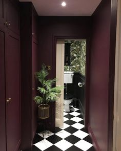 a bathroom with black and white checkered flooring, potted plant in the corner