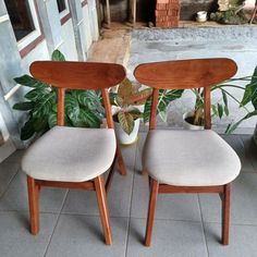 two wooden chairs sitting next to each other on a tile floor near potted plants