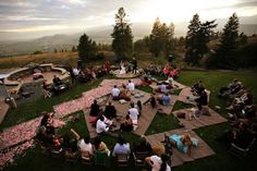 a group of people sitting on top of a lush green field next to a forest