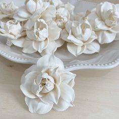 some white flowers are sitting on a plate and one is in the middle of it