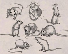 various mouses are shown in blue ink on white paper, including one rat and the other