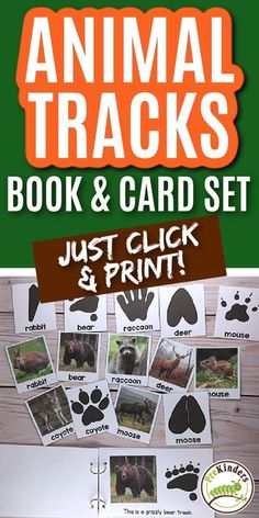 an animal tracks book and card set with pictures of animals on the cover, in front of