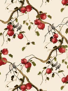 an apple tree with red apples and birds on it's branches, in front of a white background