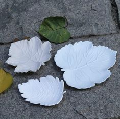 three white leaves are laying on the ground next to some rocks and one is yellow