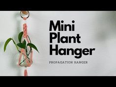 a plant hanging from the side of a wall next to a sign that says mini plant hanger