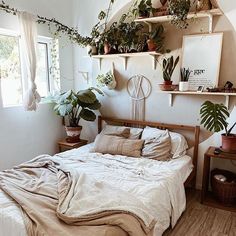 an unmade bed with lots of plants on the shelves above it and in front of a window