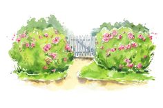 watercolor painting of an open gate with pink flowers in the foreground and green trees on either side