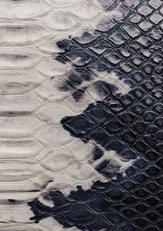 black and white snake skin textured up close