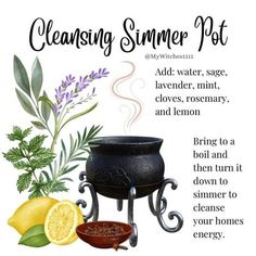 Simmer Pot Cleansing, New Moon Simmer Pot, Cleansing Simmer Pots Witchcraft, Simmer Pot Recipes Witchcraft Cleansing, Simmer Pots Witchcraft, Three Moons, Simmer Pots, Simmer Pot Recipes, Kitchen Witch Recipes