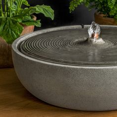 a large metal bowl sitting on top of a wooden table next to potted plants