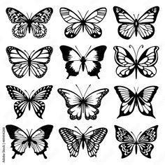 the different butterflies are shown in black and white