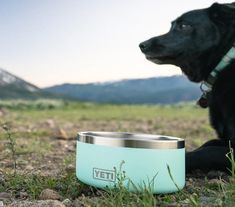 a black dog laying on the ground next to a bowl