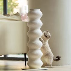 a cat standing on its hind legs next to a tall white object in a living room