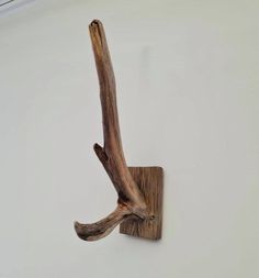 a piece of driftwood hanging on the wall next to a white wall with a light fixture