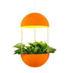 an orange hanging planter with green plants in it and a yellow light on top