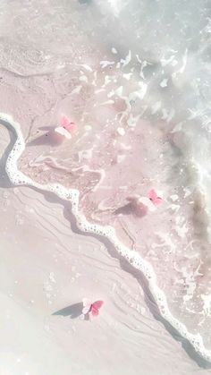 two people are walking along the beach with pink flowers in the sand and waves crashing on them