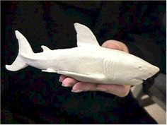 a person holding a fake shark in their hand