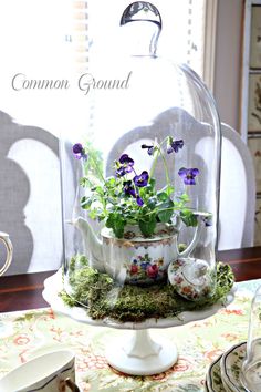 a glass clochet with purple flowers and green plants in it sitting on a table