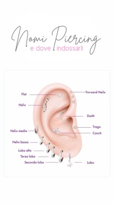 the anatomy of an ear with different parts labeled in english and french words on it