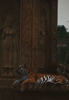 two tigers laying down in front of a statue