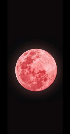 the full pink moon is seen in the dark sky