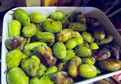 a white bowl filled with lots of green fruit