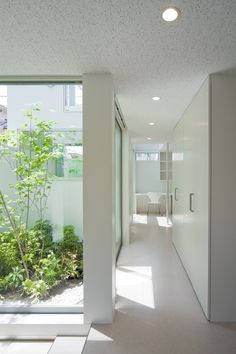 an empty hallway leading to a bedroom with large glass doors on both sides and trees in the middle