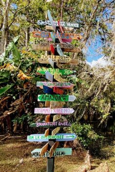 a pole with many signs on it in the middle of some grass and trees,