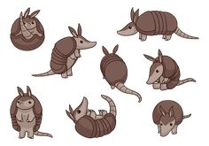 cartoon armadiuras in different poses