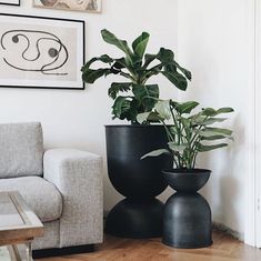 two black planters sitting next to each other on top of a hard wood floor