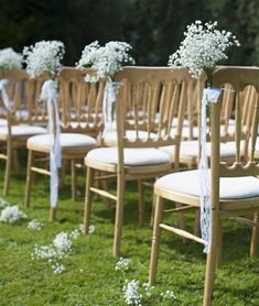 rows of wooden chairs with white sashes and baby's breath flowers