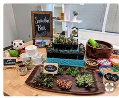 there are many succulents and plants on the table with chalkboard signs