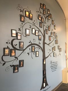 a family tree with pictures on the wall and hanging from it's sides in an office lobby