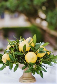 a vase filled with lemons sitting on top of a white table covered in greenery