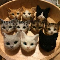 a group of kittens sitting on top of a wooden bowl filled with fake cats