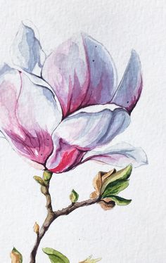 a painting of a pink flower on a white background