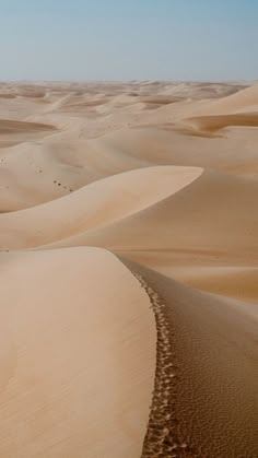 the desert is filled with sand dunes and sparse trees