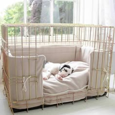 a small dog is laying in a cage