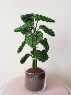 a potted plant sitting on top of a pink table