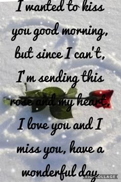 a rose laying in the snow with a poem written on it that says i wanted to kiss you good morning, but since i can't