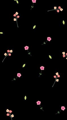 Girly Goth Wallpaper, Iphone Wallpaper Kawaii Pastel, Simple Ipad Wallpaper, Dainty Floral Wallpaper, Dark Flowers Wallpaper, Cute Black Background, Minimalist Wallpaper Iphone Aesthetic, Vietnam Travel Photography, Cute Pastel Background